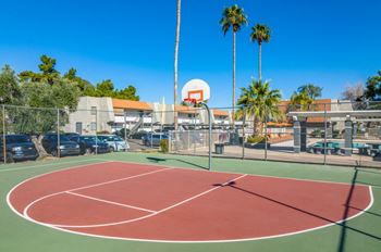 Basketball Court